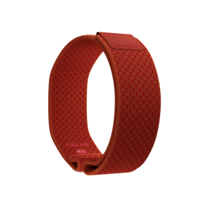 WB LOOP GEN2 ORA S-L